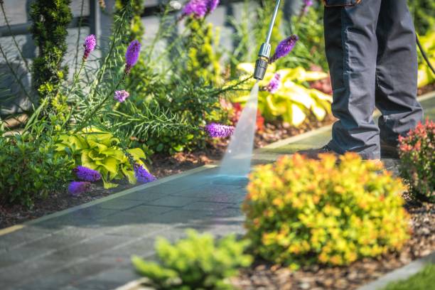 Woodville, TX  Pressure Washing Services Company